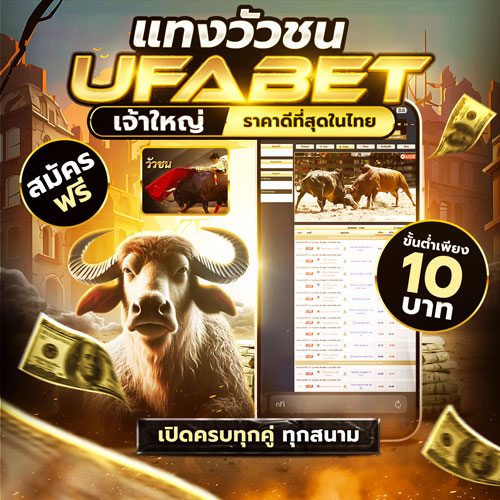 แทงวัวชน