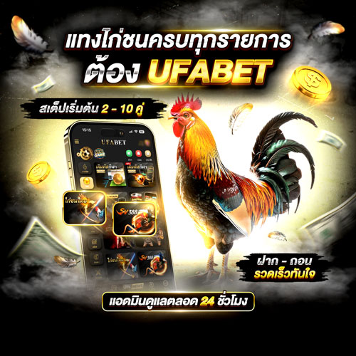 แทงไก่ชน